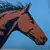 Our Preakness