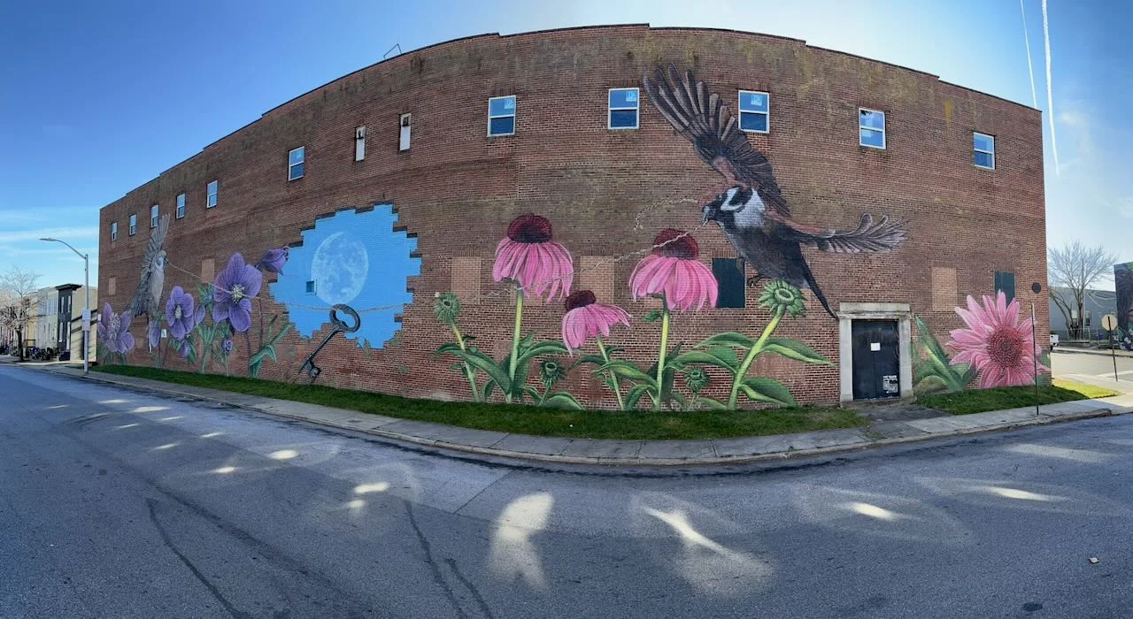 Baltimore mural 76