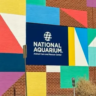 Baltimore mural 91