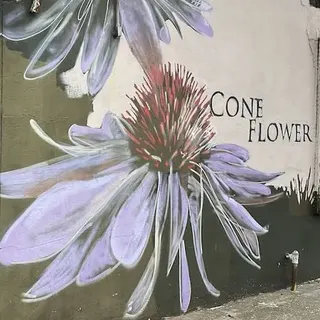 Baltimore mural 180
