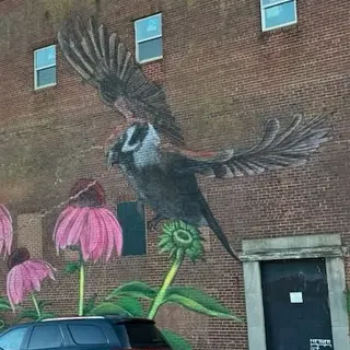 Baltimore mural 101