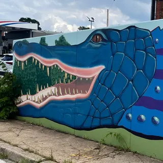 Alligators